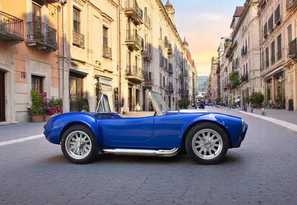 Mini Cobra - Image 3