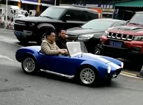 Mini Cobra - Image 4