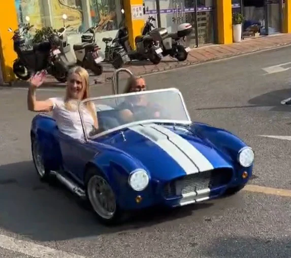 Mini Cobra - Image 5