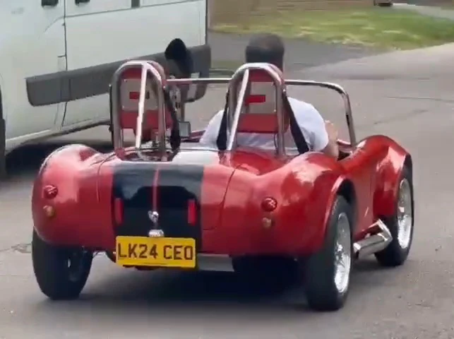 Mini Cobra - Image 7